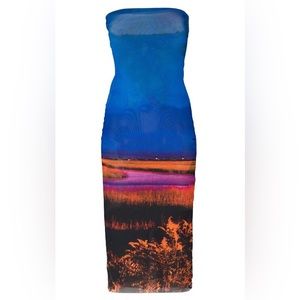 Louisa Ballou Sublime Flower Print Beach Dress